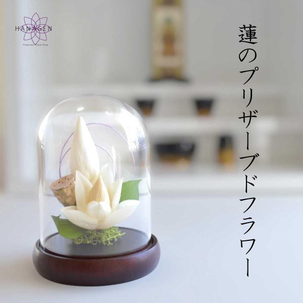 特選仏花　蓮の花　ガラスケース　天然木土台一対　造花無し　 プリザーブドフラワー プリザーブドフラワー 仏花 供花 お供えの花 蓮 ガラスドーム 彼岸 蓮