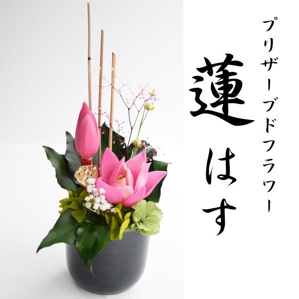 仏花 プリザーブドフラワー 蓮 はす 蓮の花 彼岸 プリザーブド 仏花 プリザーブドフラワー 蓮 はす 蓮の花 彼岸 プリザーブド