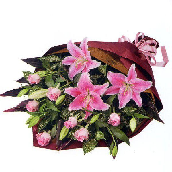 ԑ-511501isNƃỏԑjԃL[sbgi