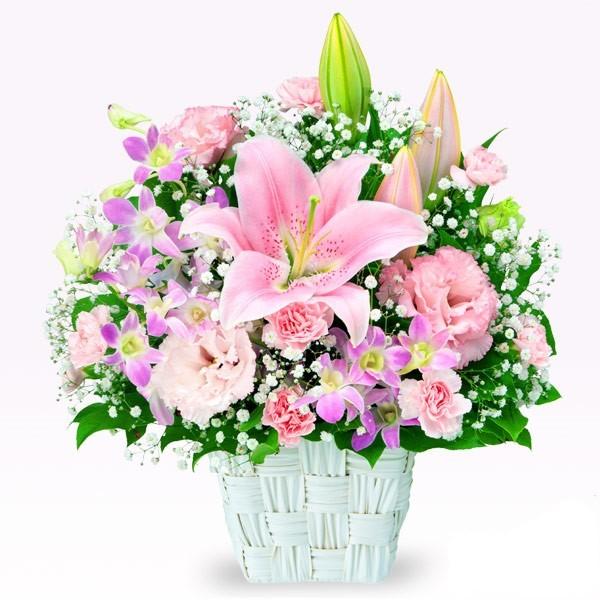 sNn̂Ԃł܂Ƃ߂AWg bZ[WJ[h  524150  t[Mtg av[g z 