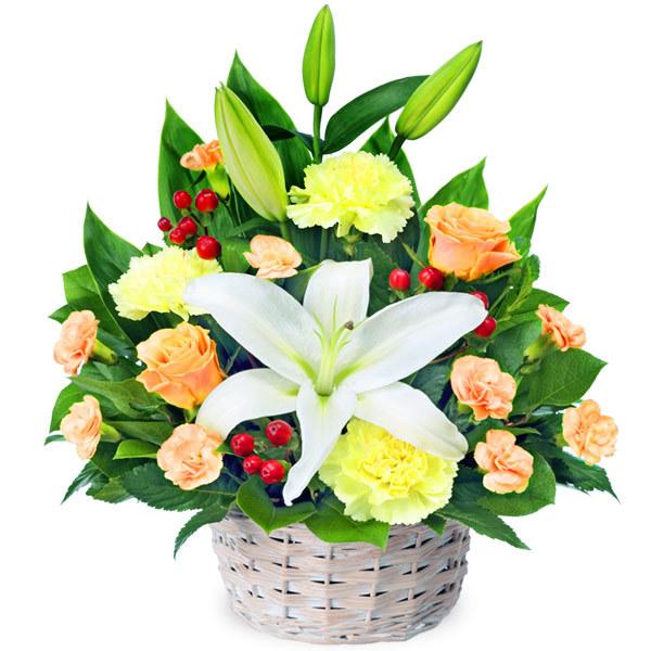 薔薇・百合・チューリップのフラワーアレンジメント限定1点 花キューピット 白ユリ中心の豪華なフラワーアレンジメント 送料無料