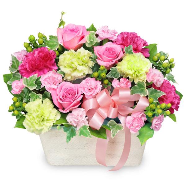 ₳킢t[AWg  zB bZ[WJ[h - 524220ij̃t[Mtg AWgjԃL[sbg