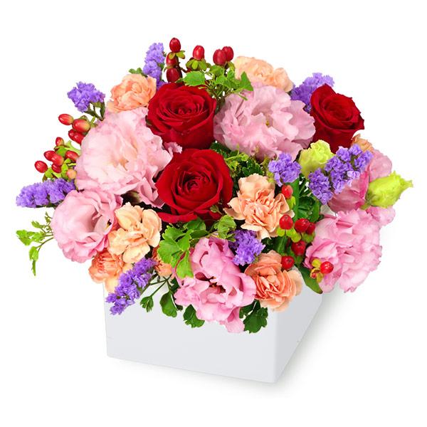 花キューピット 今月のおすすめ 赤バラが入ったフラワーアレンジメント