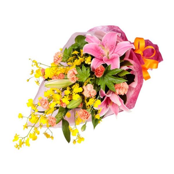 FEIWn̂ԂS̉ԑ bZ[WJ[h   524038  t[Mtg av[g z 