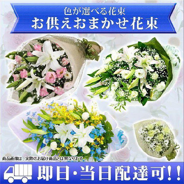 PMQ܂ł̂œzB@ԃL[sbĝ܂ԑ@EB-12000i̓E~ENȂǂ̔ɖZ͏j