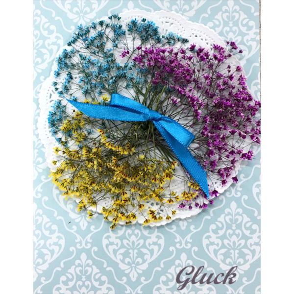 コンパクト 押し花 かすみ草 エレガントmix-A 少量をパックにしてお届け!押し花 ハンドメイド UVレジンでスマホケースも作成可能!かすみ草 :compact-kasumisou-elegant-a:はなはなぐりゅっけ 通販 押し花 セット かすみそう Mix カスミソウ(6色) ハンドメイド UVレジンでスマホケースも作成可能!!かすみ草