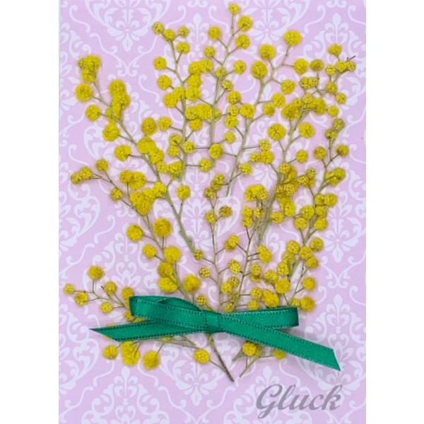 自然色のミモザの押し花です。少量(約10本）パックにしてお届けします。できる限り当日出荷をいたしますが、ご注文いただいてからフレッシュなものをパックいたしますので、翌営業日の発送になる場合もございます。1回のご注文で別途送料（200円）がか...