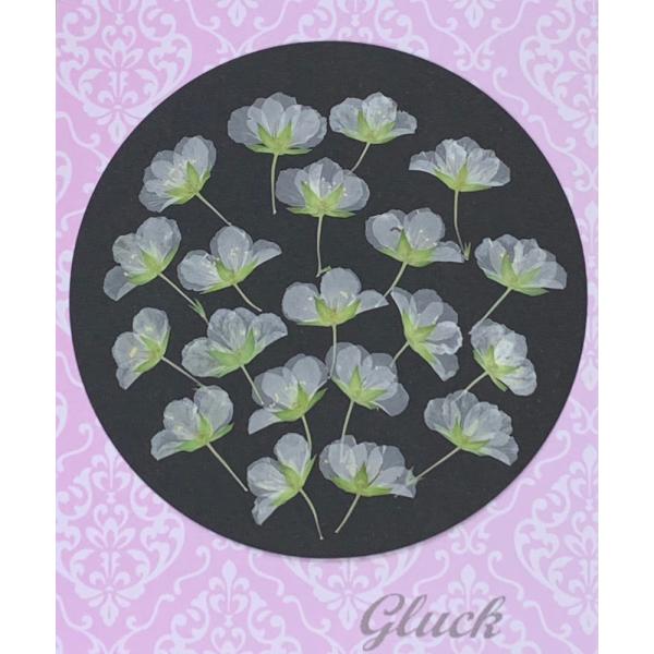 お求め頂き安い少量パックにしてお届けします。 できる限り当日出荷をいたしますが、ご注文いただいてからフレッシュなものをパックいたしますので、翌営業日の発送になる場合もございます。1回のご注文で別途送料（200円）がかかりますが、700円以上...