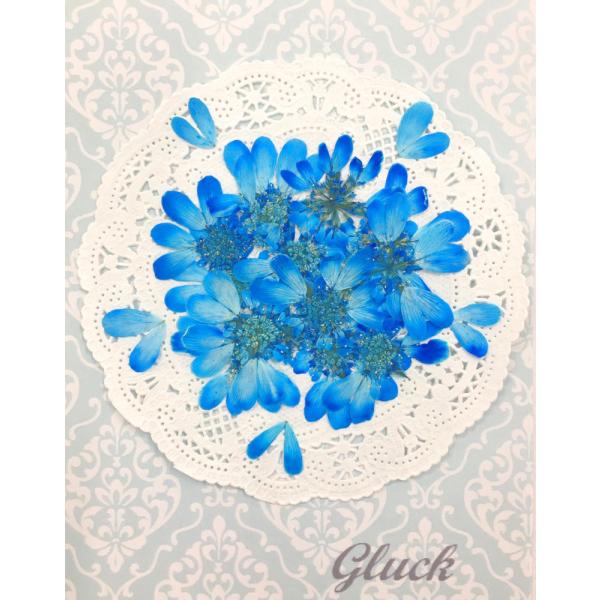 吸い上げ着色したオルラヤレースフラワー（グランブルー）の花びら約60枚以上をパックにしてお届けします。ハート型の花びらがとてもかわいいです。中央の花芯部分はレースフラワーとしてもご使用頂けます。できる限り当日出荷をいたしますが、ご注文いただ...