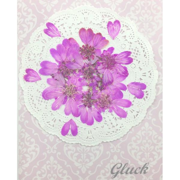 吸い上げ着色したオルラヤレースフラワー（ピンク）の花びら約60枚以上をパックにしてお届けします。ハート型の花びらがとてもかわいいです。中央の花芯部分はレースフラワーとしてもご使用頂けます。できる限り当日出荷をいたしますが、ご注文いただいてか...