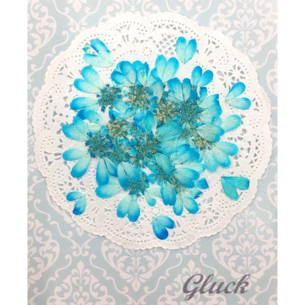 吸い上げ着色したオルラヤレースフラワー（スカイブルー）の花びら約60枚以上をパックにしてお届けします。ハート型の花びらがとてもかわいいです。中央の花芯部分はレースフラワーとしてもご使用頂けます。できる限り当日出荷をいたしますが、ご注文いただ...