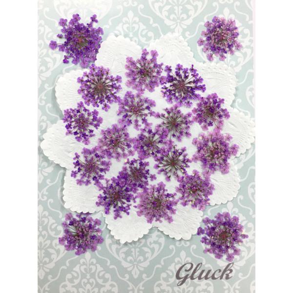 吸い上げ着色したレースフラワーパープル20枚入り。お求め頂き安い少量パックにしてお届けします。 できる限り当日出荷をいたしますが、ご注文いただいてからフレッシュなものをパックいたしますので、翌営業日の発送になる場合もございます。1回のご注文...