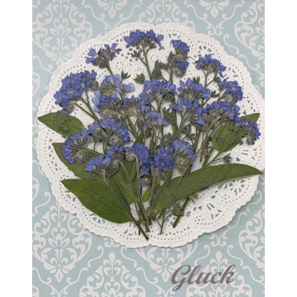 自然色の忘れな草（ブルー）約20本入りです。お求め頂き安い少量パックにしてお届けします。できる限り当日出荷をいたしますが、ご注文いただいてからフレッシュなものをパックいたしますので、翌営業日の発送になる場合もございます。1回のご注文で別途送...