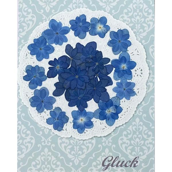 自然色の八重あじさい（ブルー＆デニムカラー）のmixです。ブルー12枚デニムカラー10枚の合計22枚です。ナチュラルなお色に仕上がっています。お求め頂き安い少量パックにしてお届けします。 できる限り当日出荷をいたしますが、ご注文いただいてか...