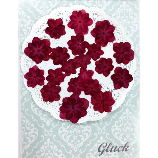 吸い上げ着色した八重あじさい（ルビー）を20枚の少量パックにしてお届けします。お求め頂き安い少量パックにしてお届けします。 できる限り当日出荷をいたしますが、ご注文いただいてからフレッシュなものをパックいたしますので、翌営業日の発送になる場...