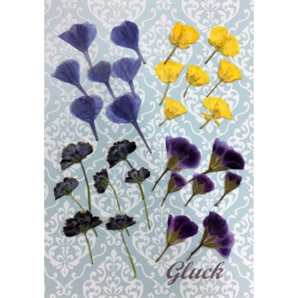 ルリマツリ・菜の花・ネモフィラブルーアイ・ペラルゴパープルの4種類のお花を大小7輪ずつ、計28輪の少量パックにしてお届けします。できる限り当日出荷をいたしますが、ご注文いただいてからフレッシュなものをパックいたしますので、翌営業日の発送にな...