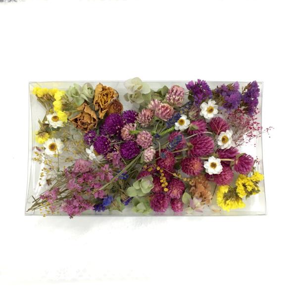 安いドライフラワー乾燥機の通販商品を比較 ショッピング情報のオークファン