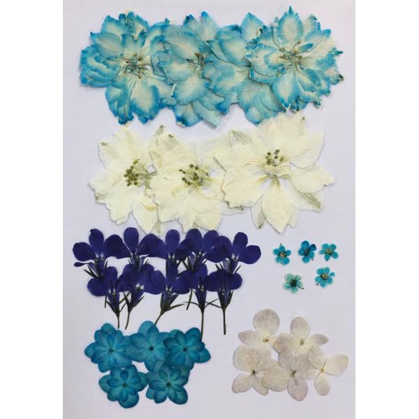 一輪ずつ丁寧に仕上げた押し花を、デザイン性を考慮して数種類のセットにしてあります。（千鳥草 あじさい ロベリア こでまり 八重あじさい）UVレジンを使用してオリジナルのスマホケースやカードケース・チャームなどが作成できます。押し花は自然の色...