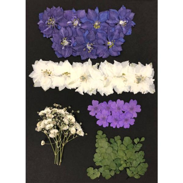 yǐՉ\ւł͂zy ؖEEFJ{[hpzyvZXp[vzMix@㎿ 