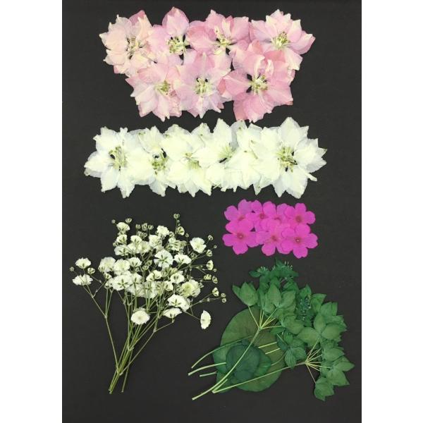 yǐՉ\ւł͂zy ؖEEFJ{[hpzyvZXsNzMix  