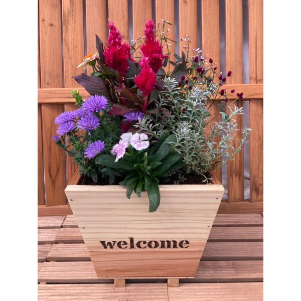 [Release date: January 16, 2026]【送料無料（一部地域を除く）】北海道・沖縄・離島の方はお届けまでにお時間がかかるためご注文頂けません。ご注文をショップにてキャンセルさせて頂ます。愛知県より佐川急便での配送にな...