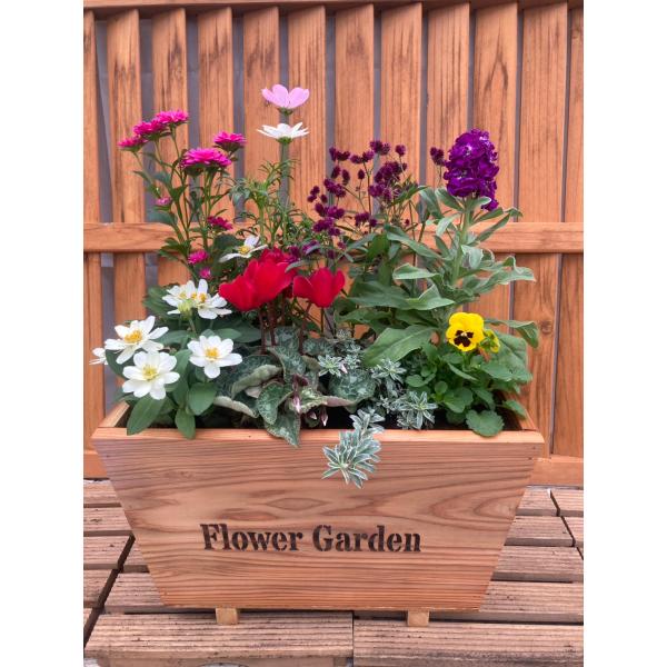 [Release date: January 16, 2026]【年末年始出荷停止のご案内】次回入荷・出荷は2026年1月16日の予定です。【送料無料（一部地域を除く）】北海道・沖縄・離島の方はお届けまでにお時間がかかるためご注文頂けません...