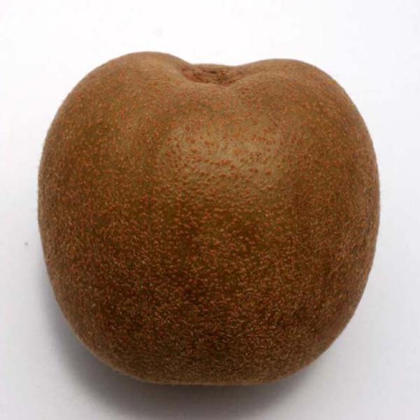 LEC c yX ZZ[VAbvz 1N ڂ |bgc