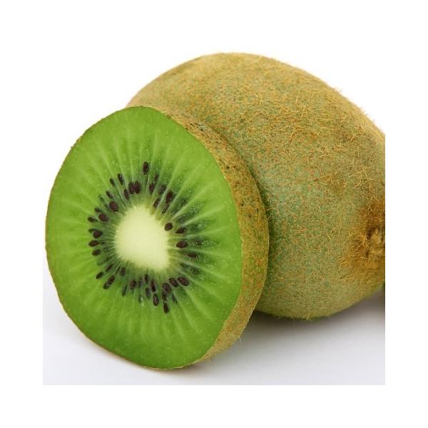 LEC c yX wC[hz 1N ڂ |bgc