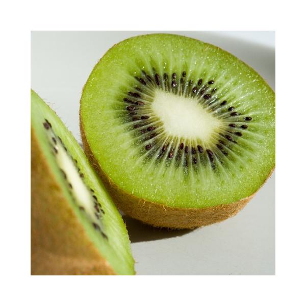 D2Nc LEC c yX ΁z 2Nc ڂ