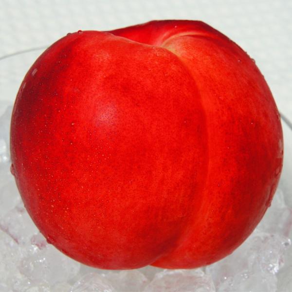  c ylN^ Giイقjz 1N ڂ |bgc