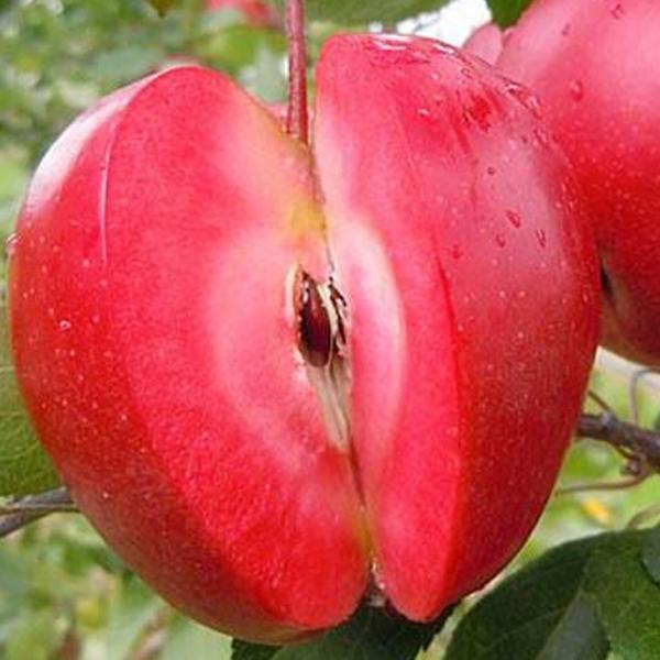  c yYDi␫؁j r[XC[gz 1N ڂ |bgc