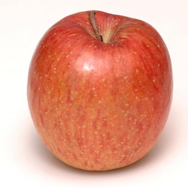 S yiނjz 1N ڂ |bgc