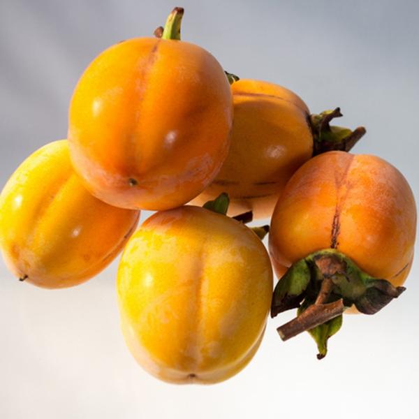 ` c ya` i傤jz 1N ڂ |bgc