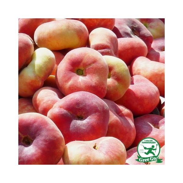 D2Nc  c y崓 i΂Ƃjz 2Nc ڂ XbgA