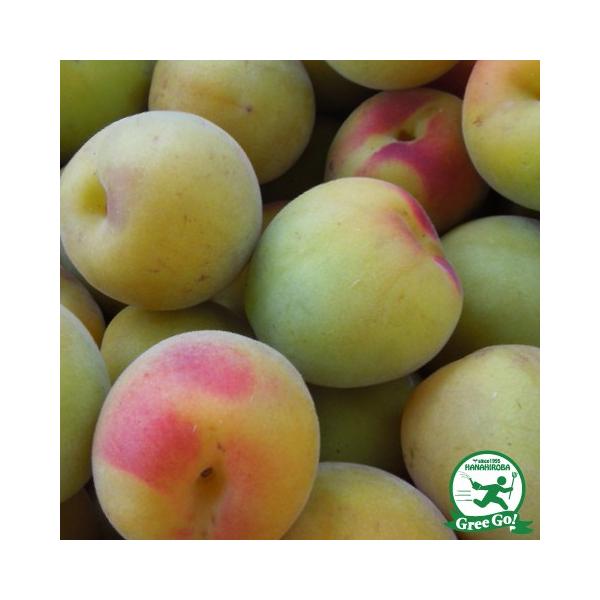 ~ c yi炩jz 1N ڂ |bgc