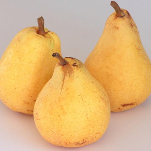  c ym  N`Fz 1N ڂ |bgc