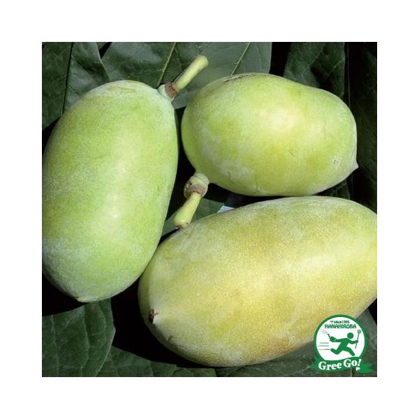  ||[c yTXPniz ڂؕc ij[ܕtj kCE͑KpOłB