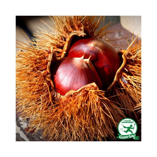 I c yΒ iÂjz 1N ڂ |bgc