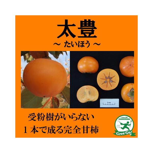 D2Nc ` c ySÊ` L iقj mo^inz 2Nc ڂ