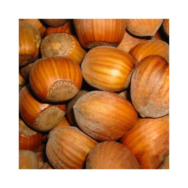 D2Nc w[[ibc c yWFt@[\z 2Nc