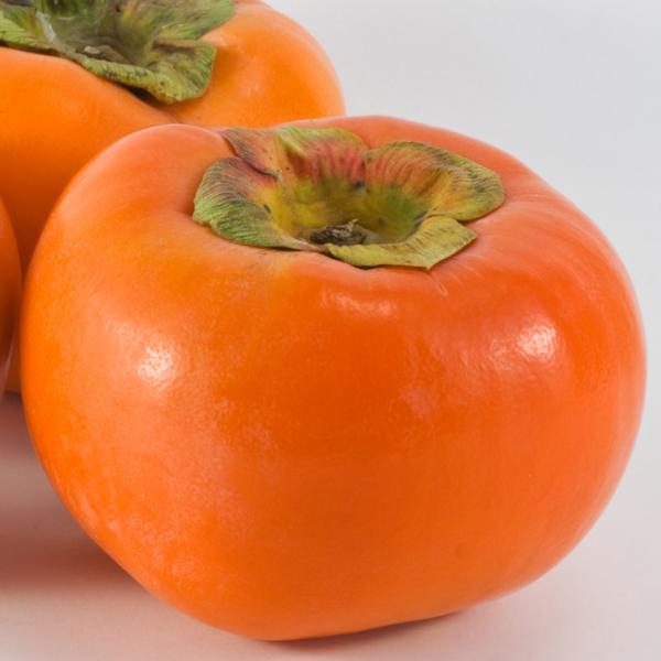 ` c ySÊ` zLi悤قjz 1N ڂؕc