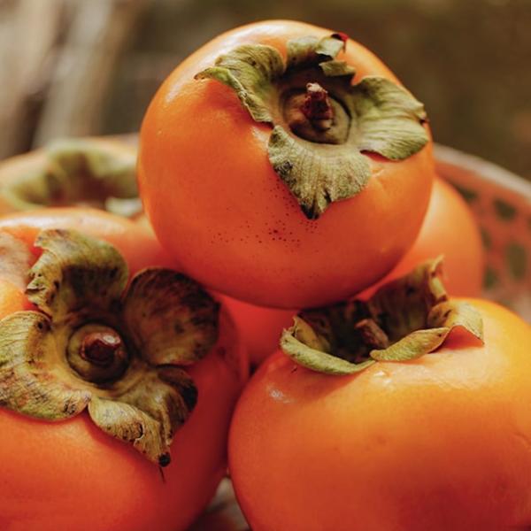 hanahiroba_tn01-438t001-01