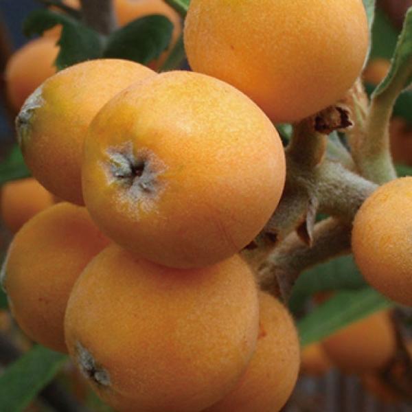  r c yc iȂjz 1N ڂ |bgc ij[ܕtj kCE͑KpOłB