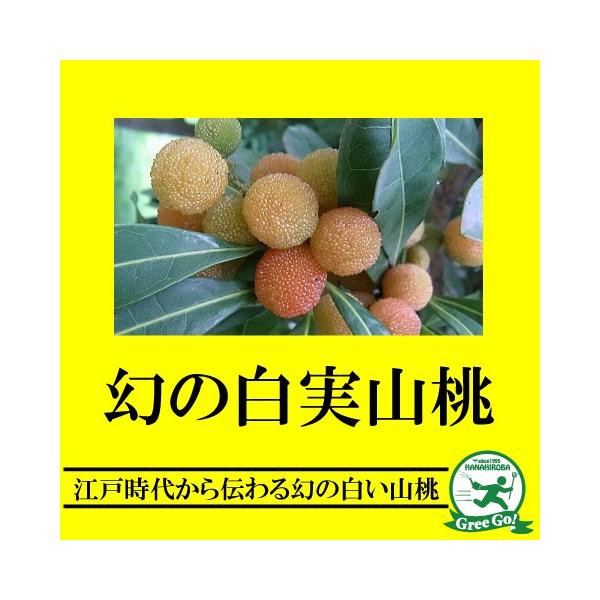  } y Rz 1N ڂؕc ij[ܕtj kCE͑KpOłB