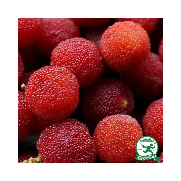 R c yG iイjz 1N ڂ |bgc