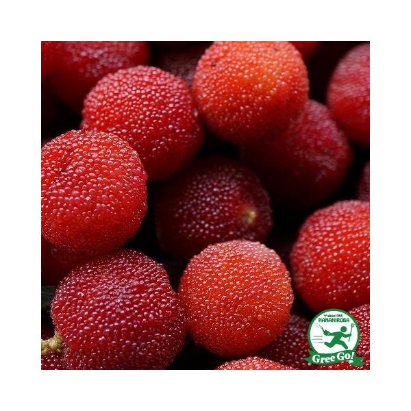  R c y@(Ƃjz 1N ڂ |bgc ij[ܕtj kCE͑KpOłB