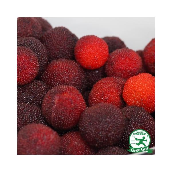 R c yT i߂jz 1N ڂ |bgc