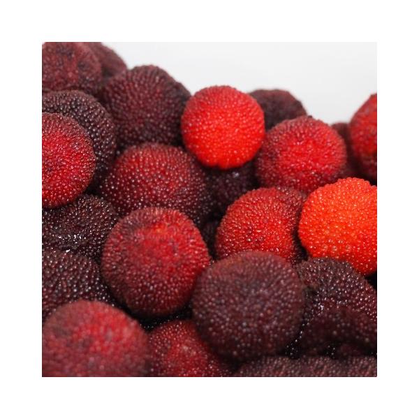 D2Nc R c yT i߂jz 2Nc ڂ