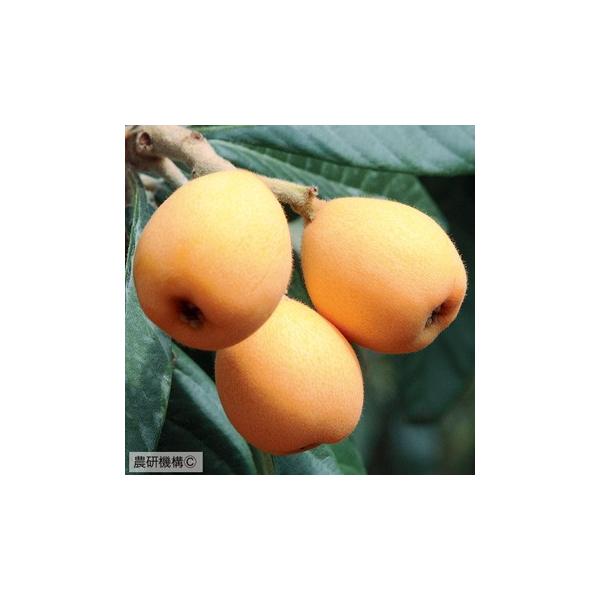 D2Nc r c y͂邽z 2Nc ڂ