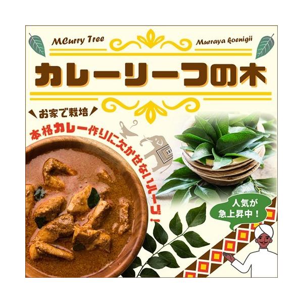 J[[t c yJ[[t̖؁z 3|bgc